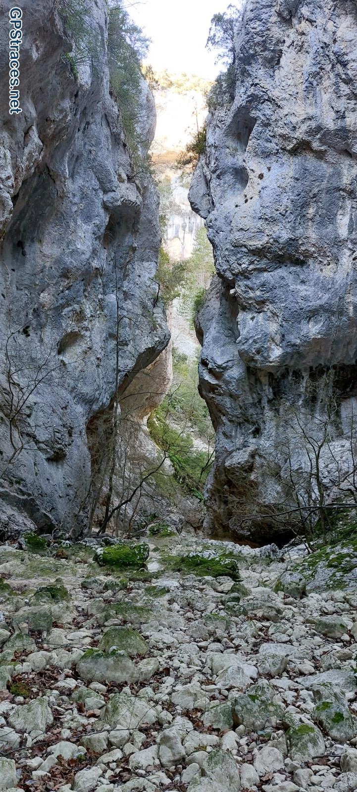Vaucluse-Sentiers sportifs très perdus de la Nesque–10