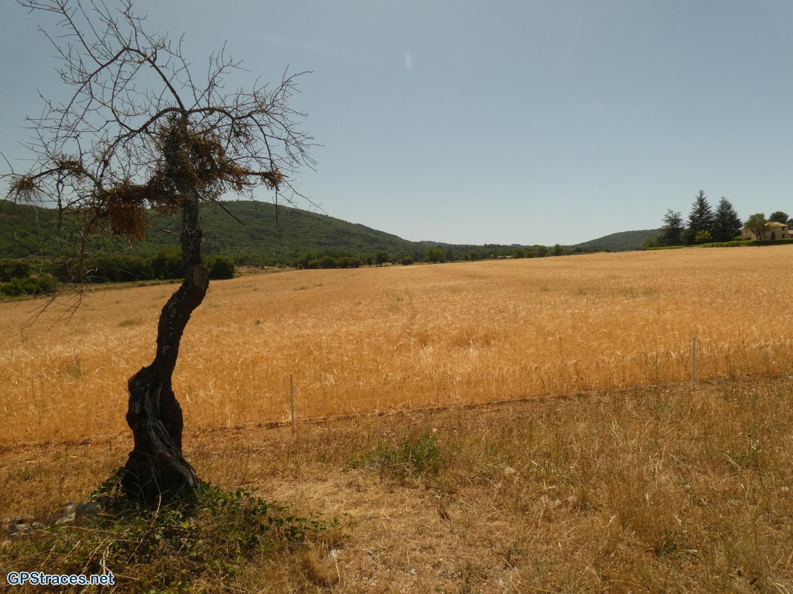 Vaucluse-De St-Jean de Durfort à Monieux–3