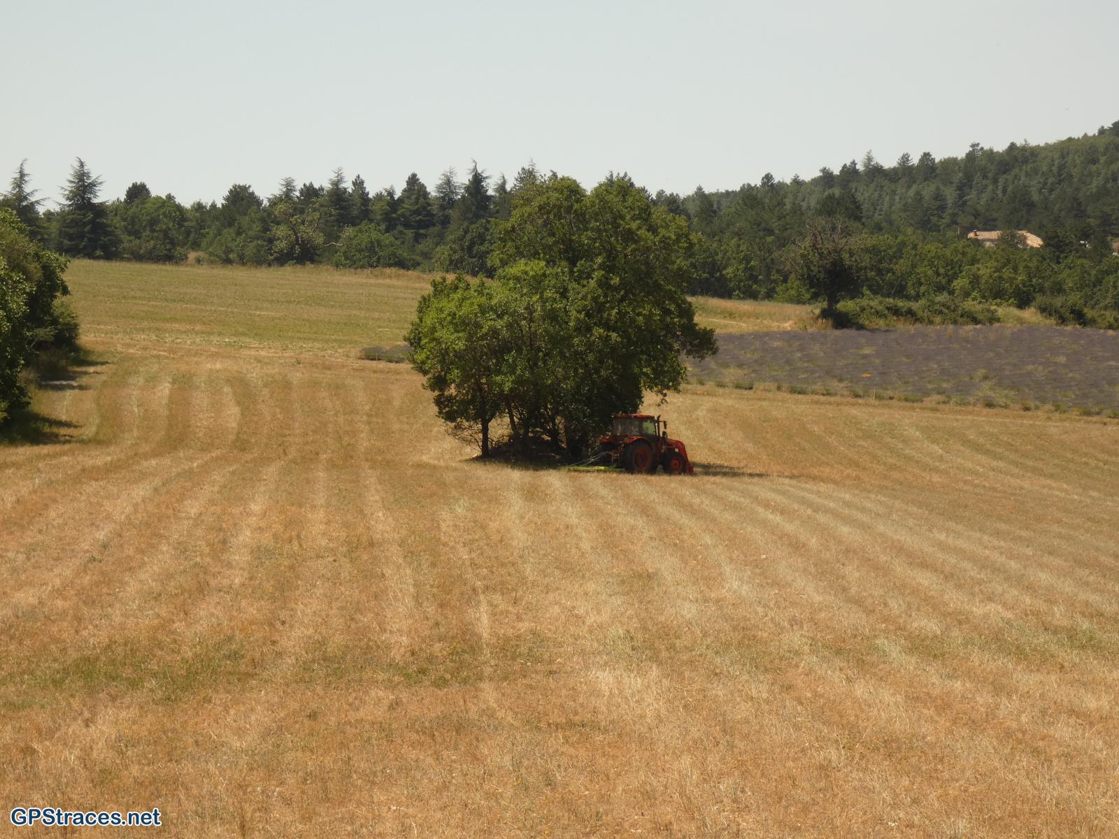 Vaucluse-De St-Jean de Durfort à Monieux–4
