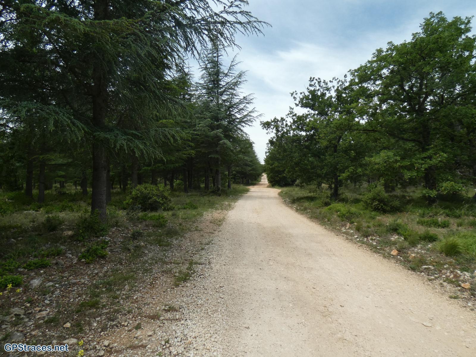 Vaucluse-Des Trois Termes à Sénanque par le vallon de la Grande Combe–1