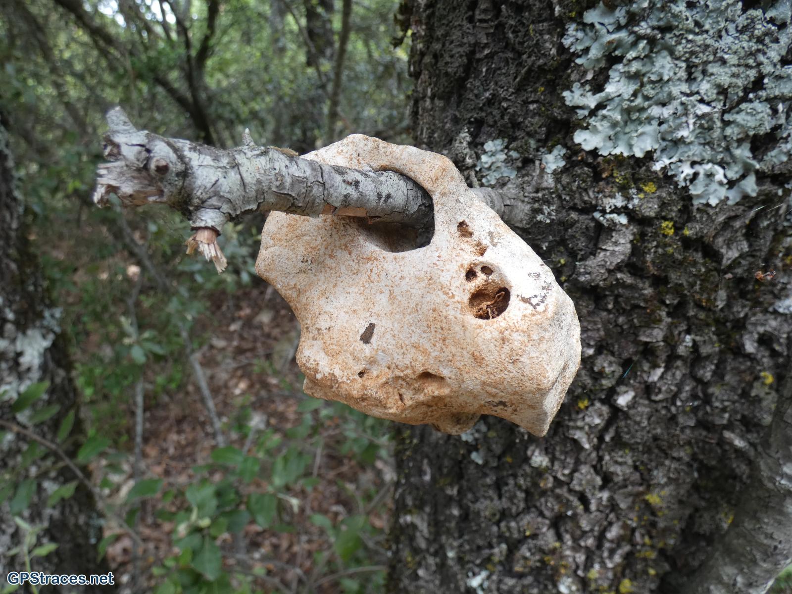 Vaucluse-Des Trois Termes à Sénanque par le vallon de la Grande Combe–2