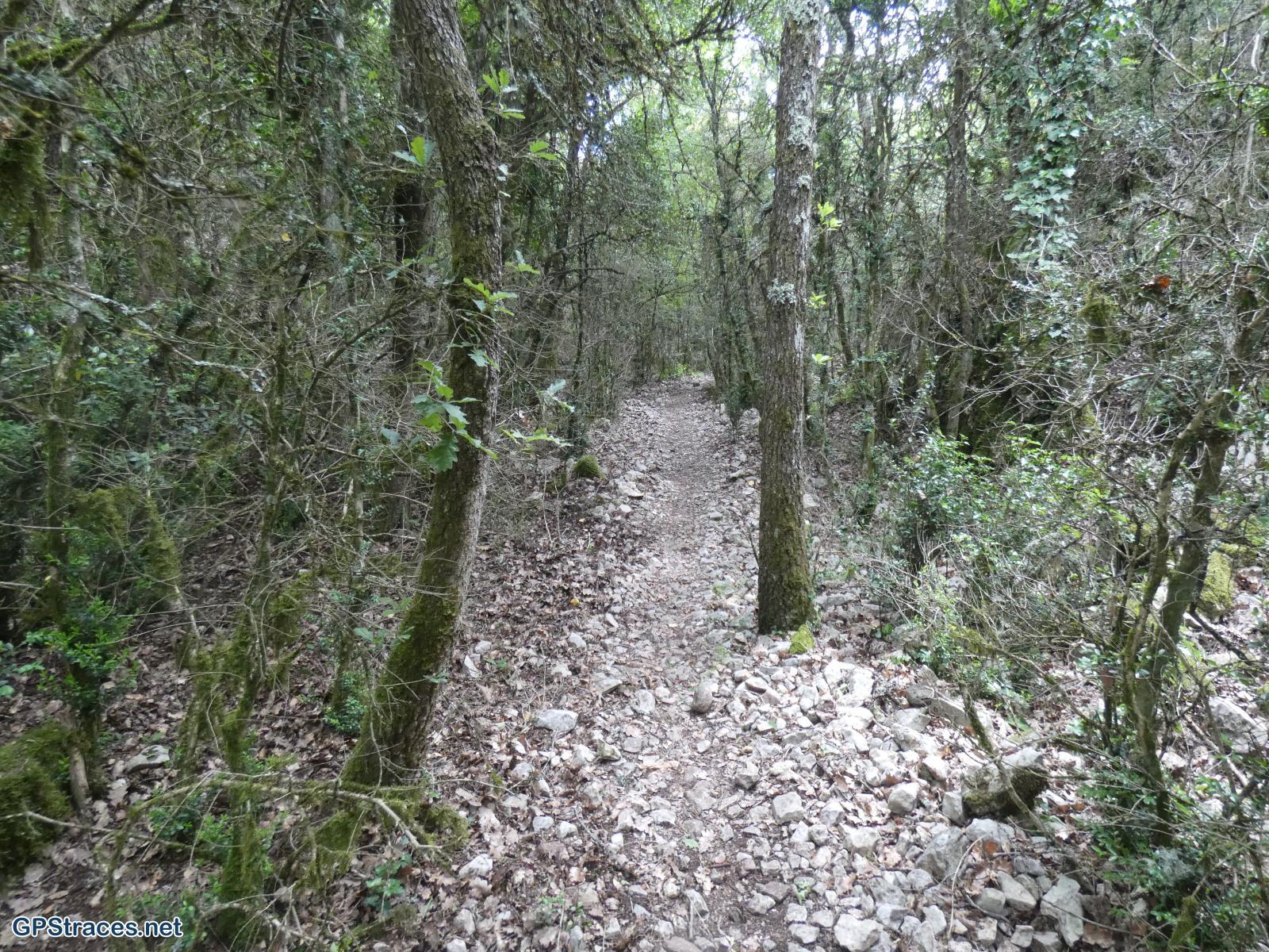 Vaucluse-Des Trois Termes à Sénanque par le vallon de la Grande Combe–4