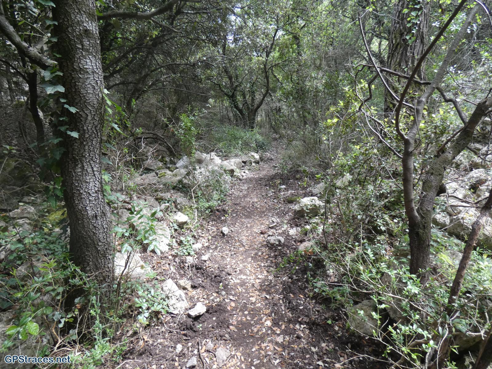 Dans le vallon de la Grande Combe
