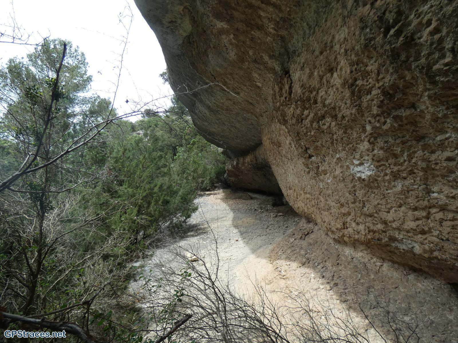 Dans le vallon de la Grande Combe