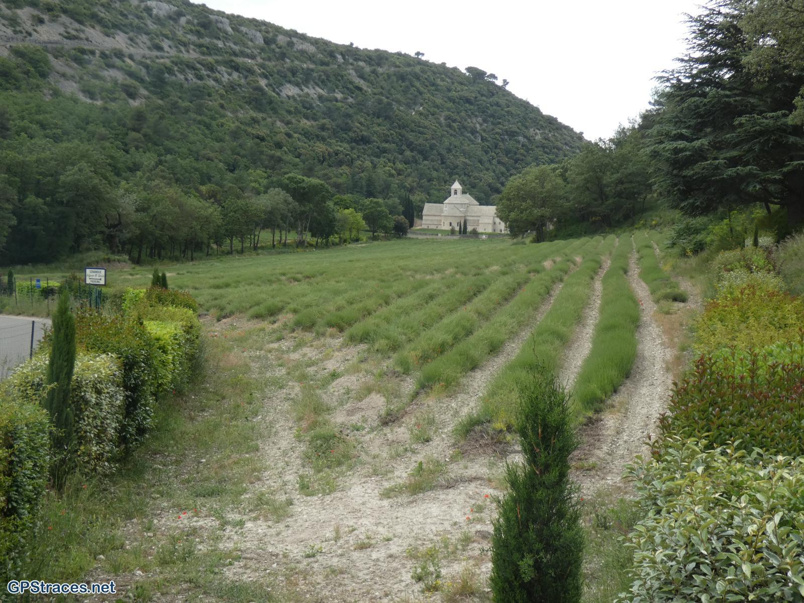 Vaucluse-Des Trois Termes à Sénanque par le vallon de la Grande Combe–11