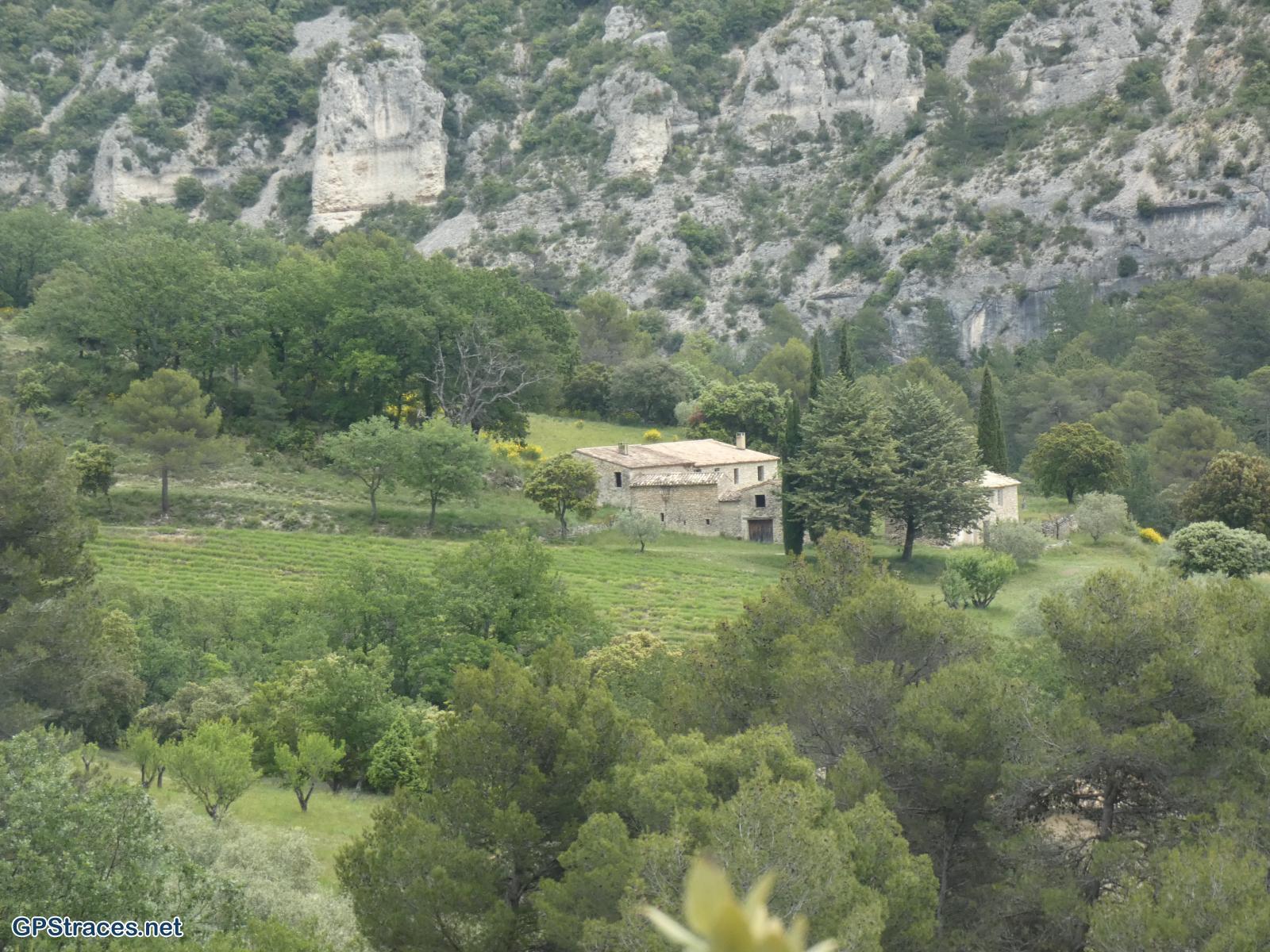 Vaucluse-Des Trois Termes à Sénanque par le vallon de la Grande Combe–13