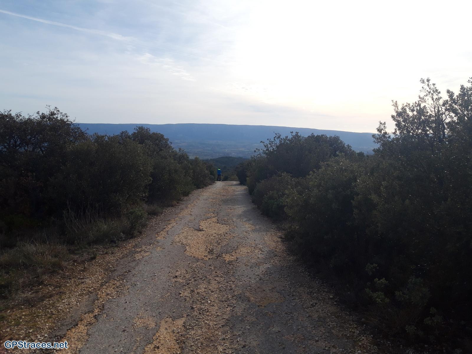 Vaucluse-Le vallon de la Fontaine de l'Oule - Le mur de la peste–4