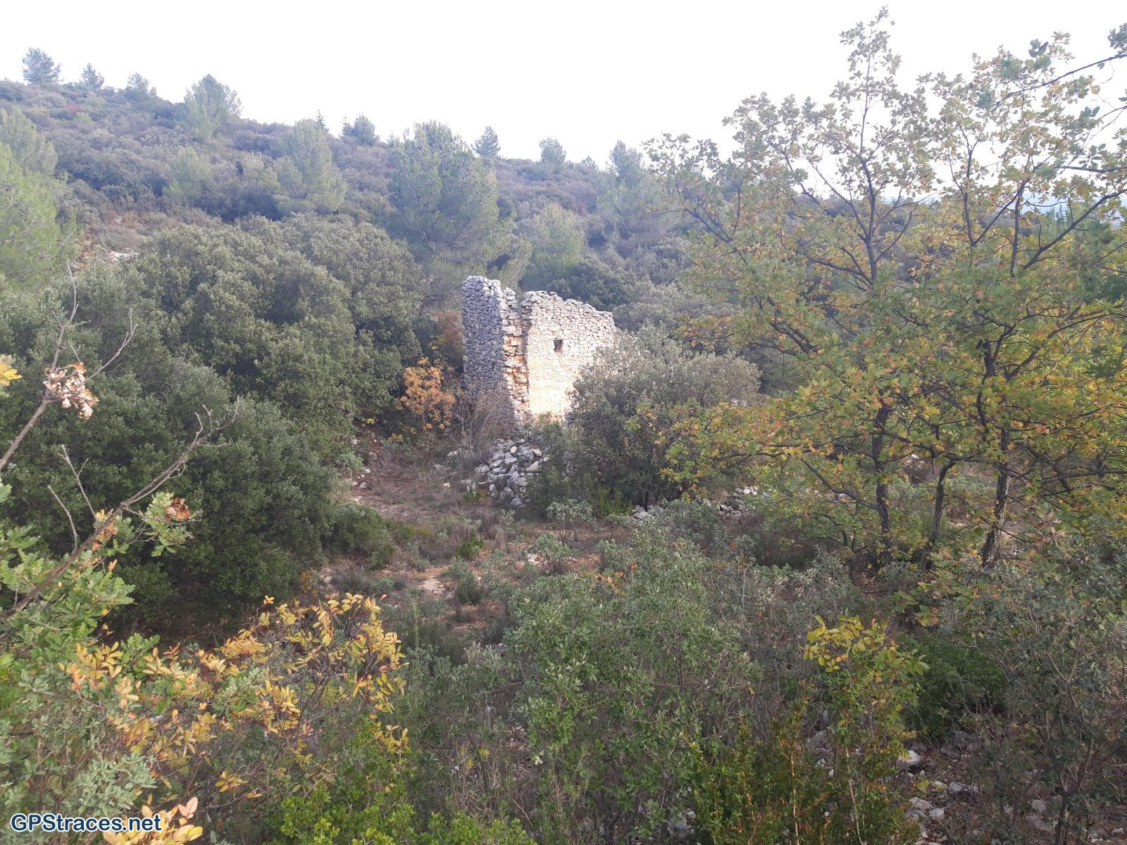 Vaucluse-Le vallon de la Fontaine de l'Oule - Le mur de la peste–6