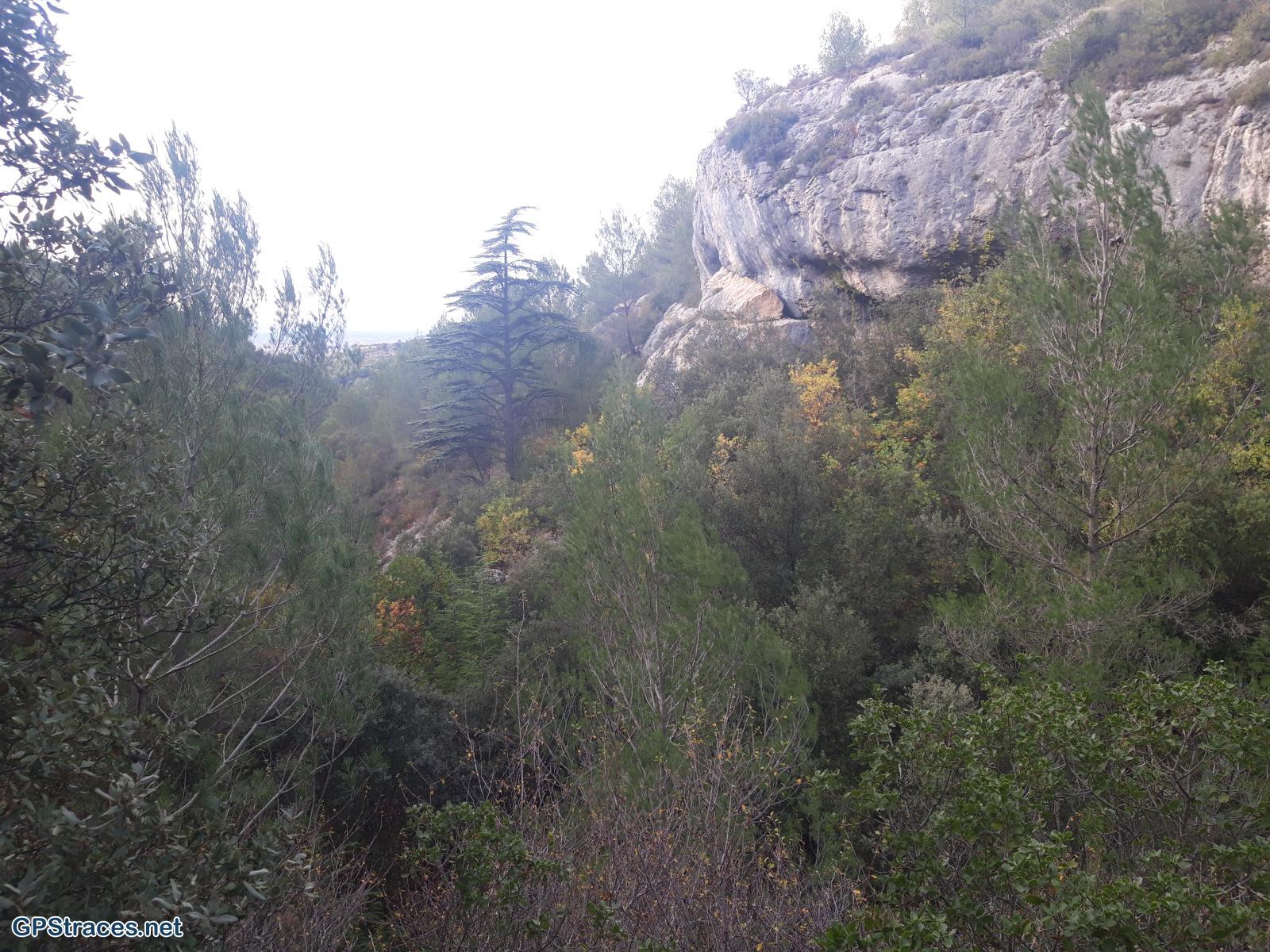 Vaucluse-Le vallon de la Fontaine de l'Oule - Le mur de la peste–8