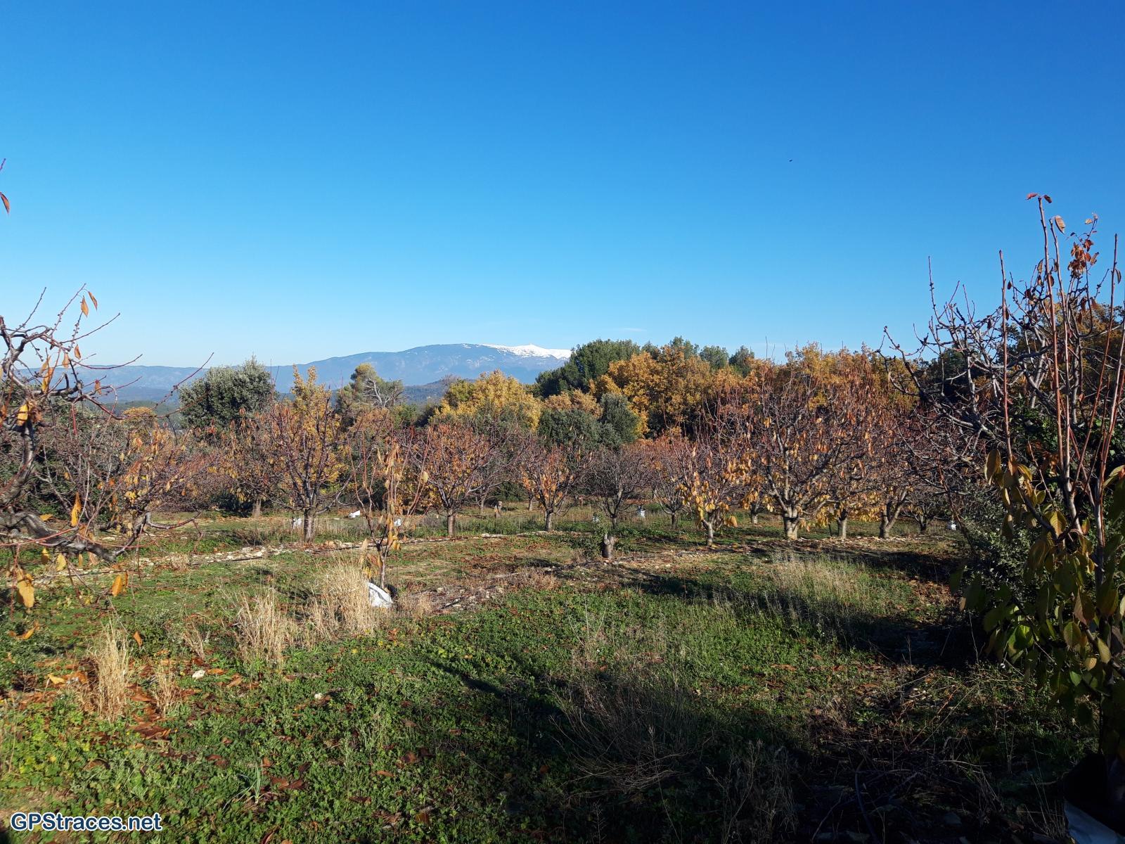 Le Mont Ventoux
