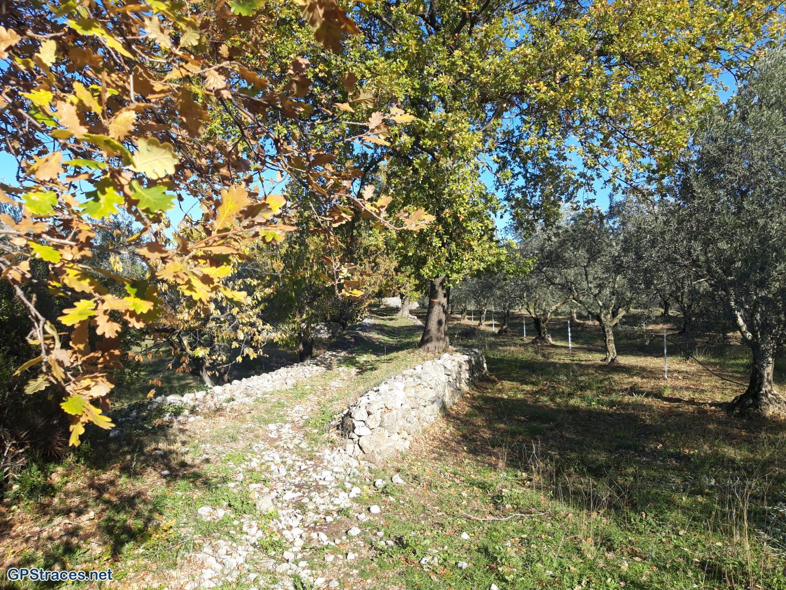 Vaucluse-De Venasque à Mallemort–13