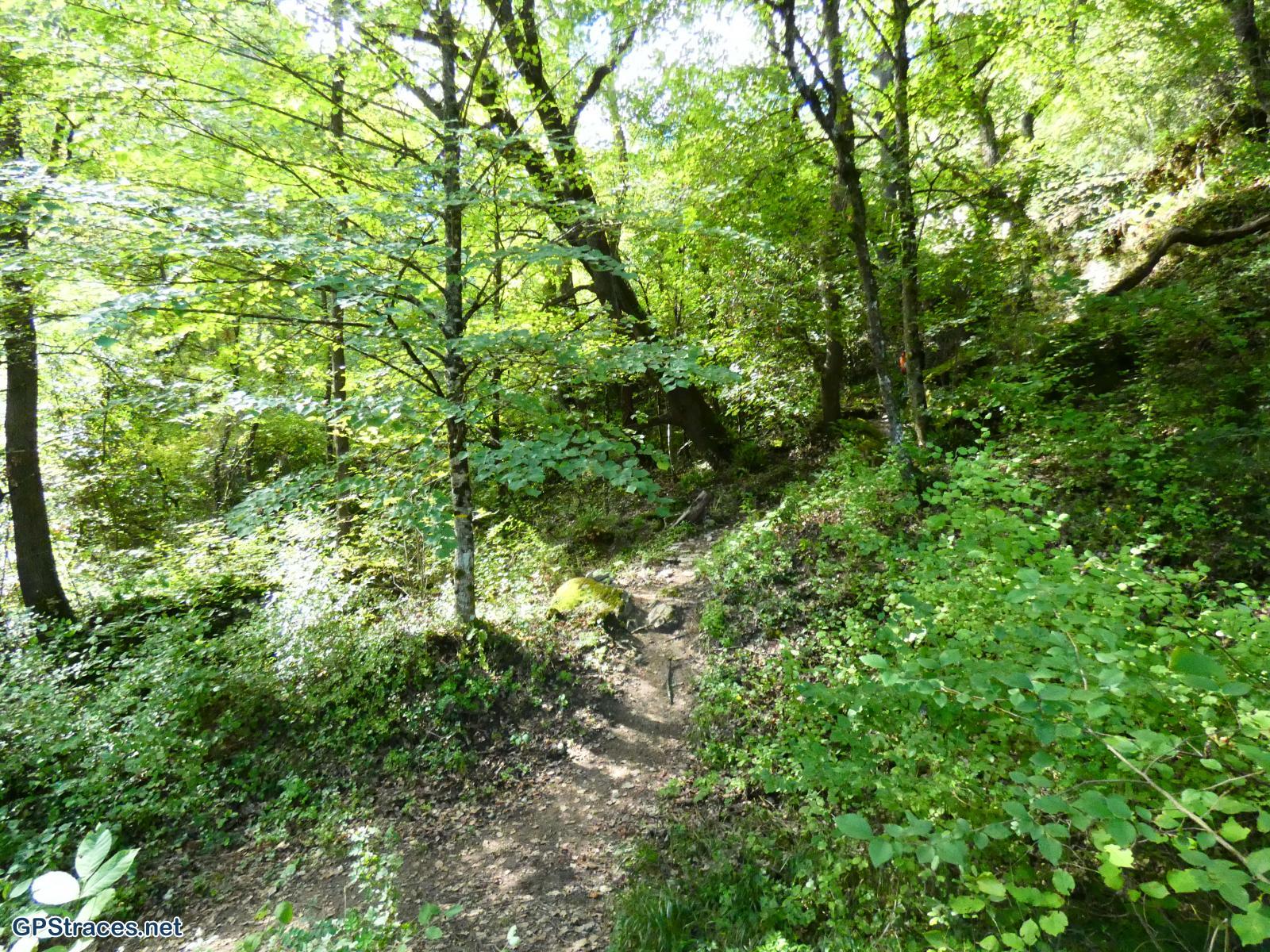 Vaucluse-Venasque - Le Beaucet par St Gens–5