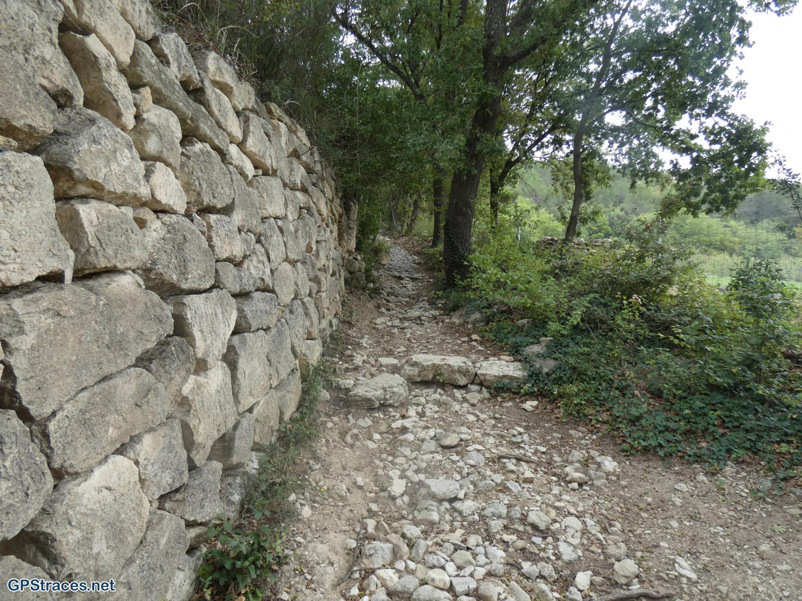 Vaucluse-Venasque - Pérégrine - Camp Long–0