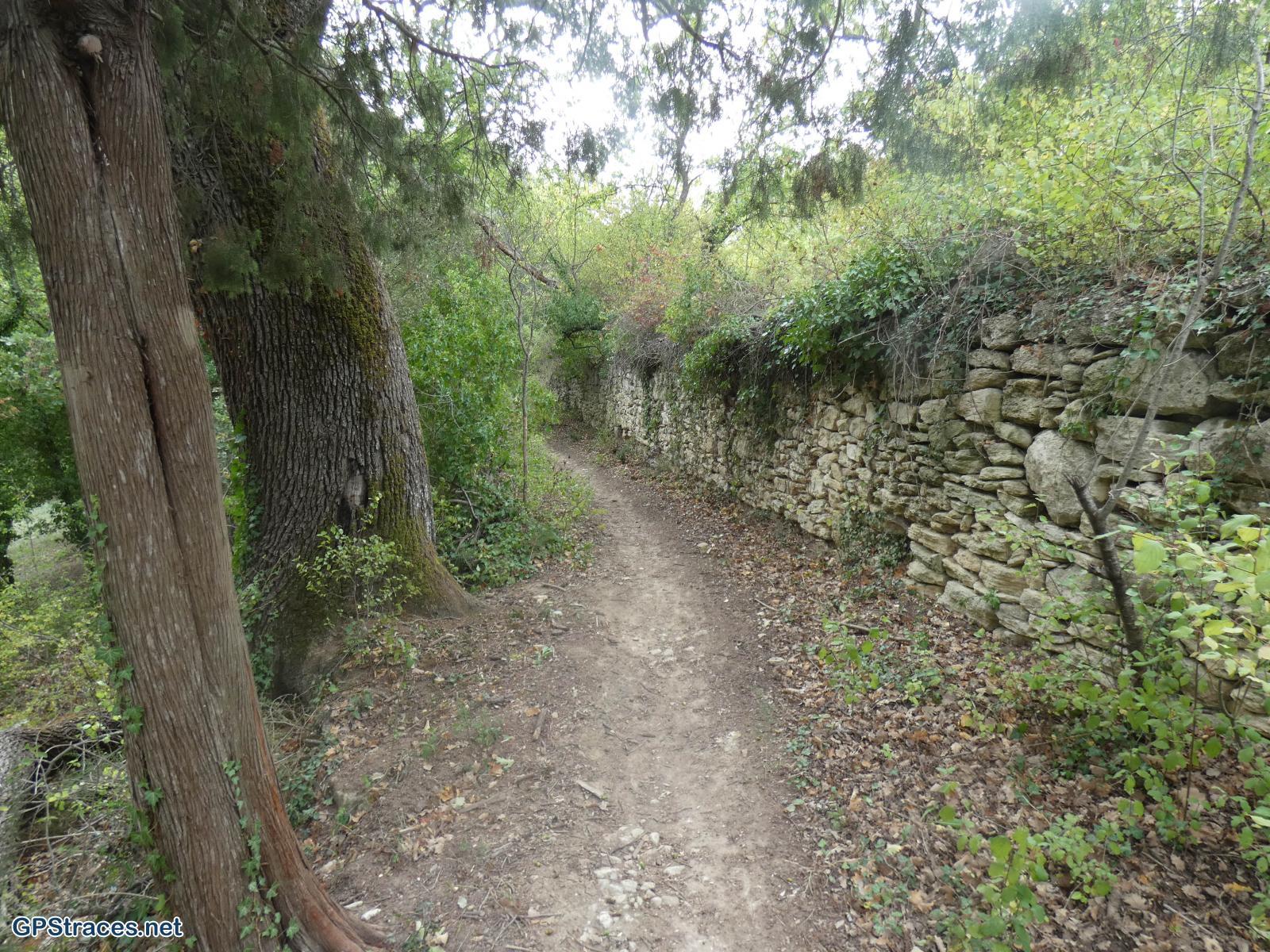 Vaucluse-Venasque - Pérégrine - Camp Long–13