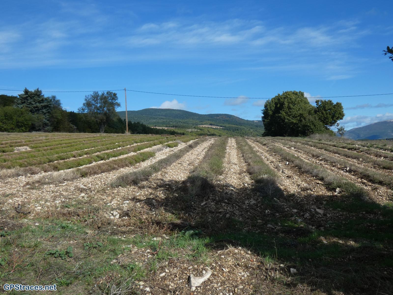 Vaucluse-Le Ventouret - Sources du Riou–2