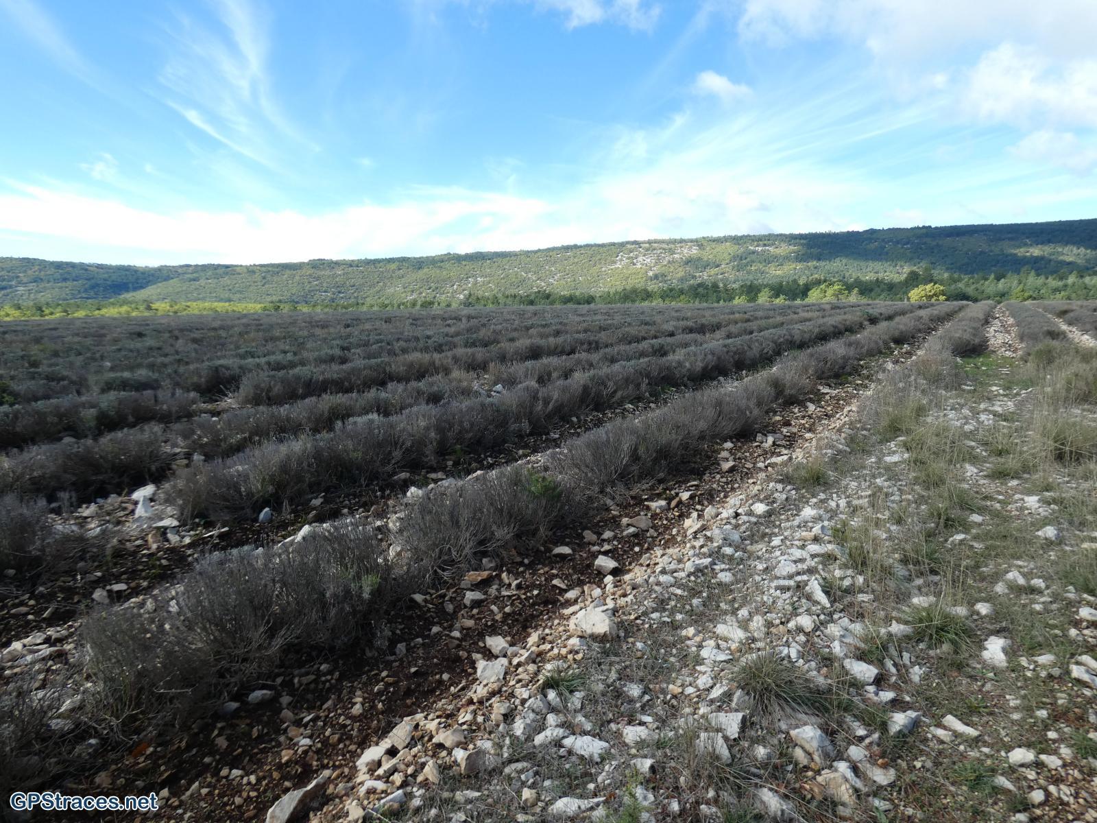Vaucluse-Le Ventouret - Sources du Riou–4