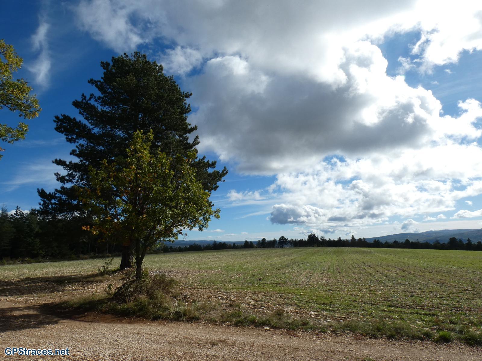 Vaucluse-Le Ventouret - Sources du Riou–5