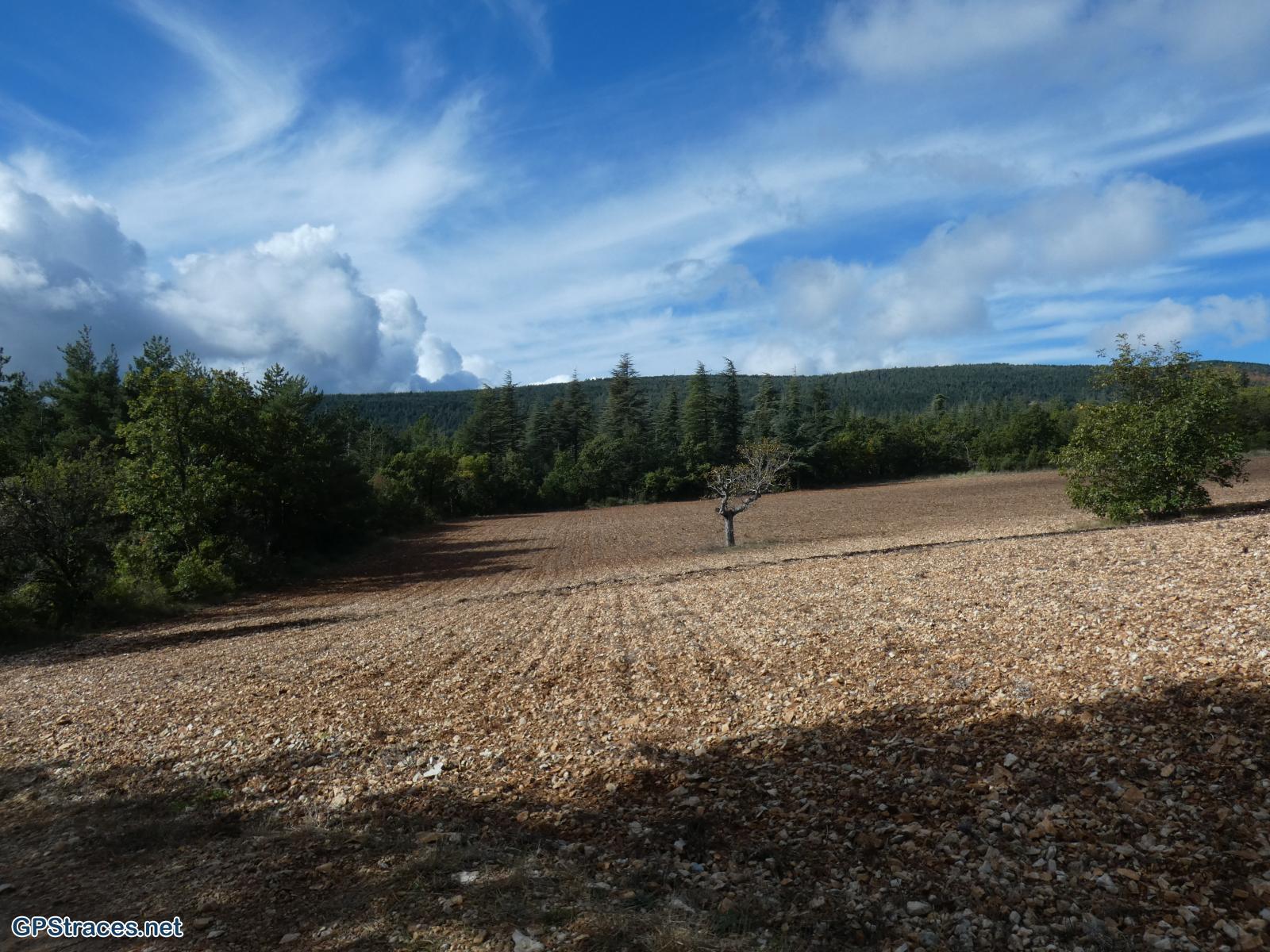 Vaucluse-Le Ventouret - Sources du Riou–6
