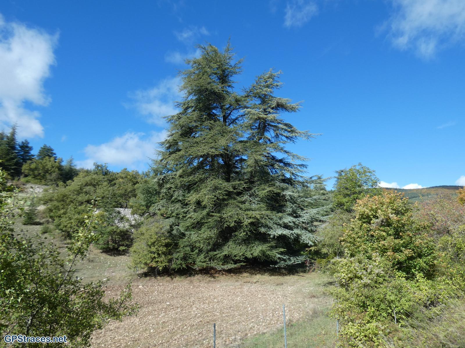Vaucluse-Le Ventouret - Sources du Riou–11