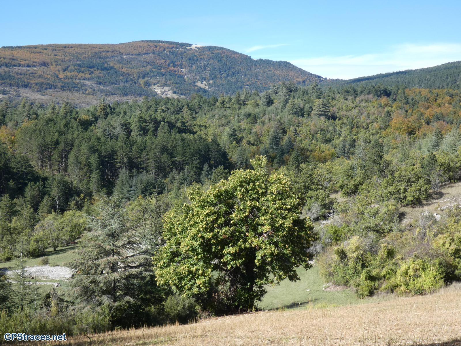 Vaucluse-Le Ventouret - Sources du Riou–17