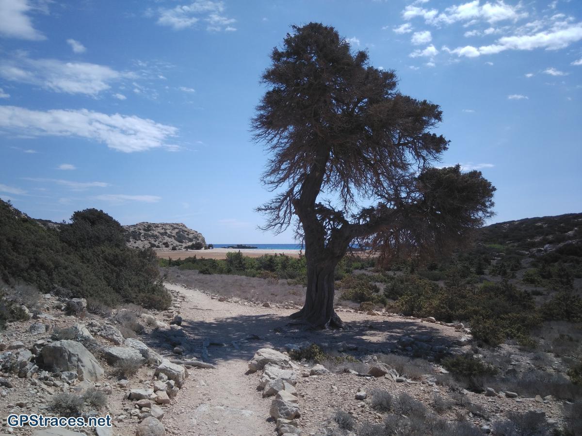En arrivant au cap Tripiti