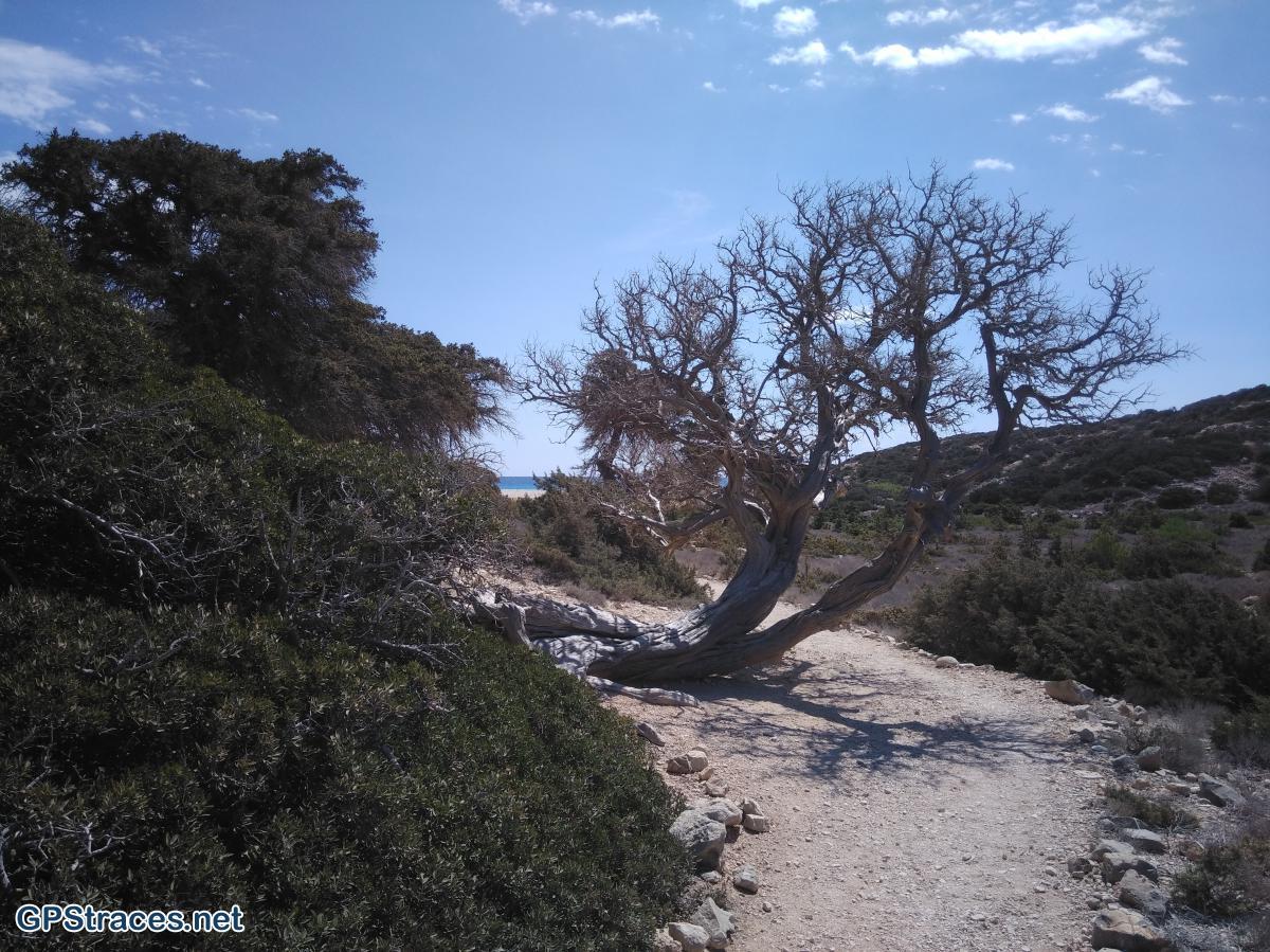 En arrivant au cap Tripiti