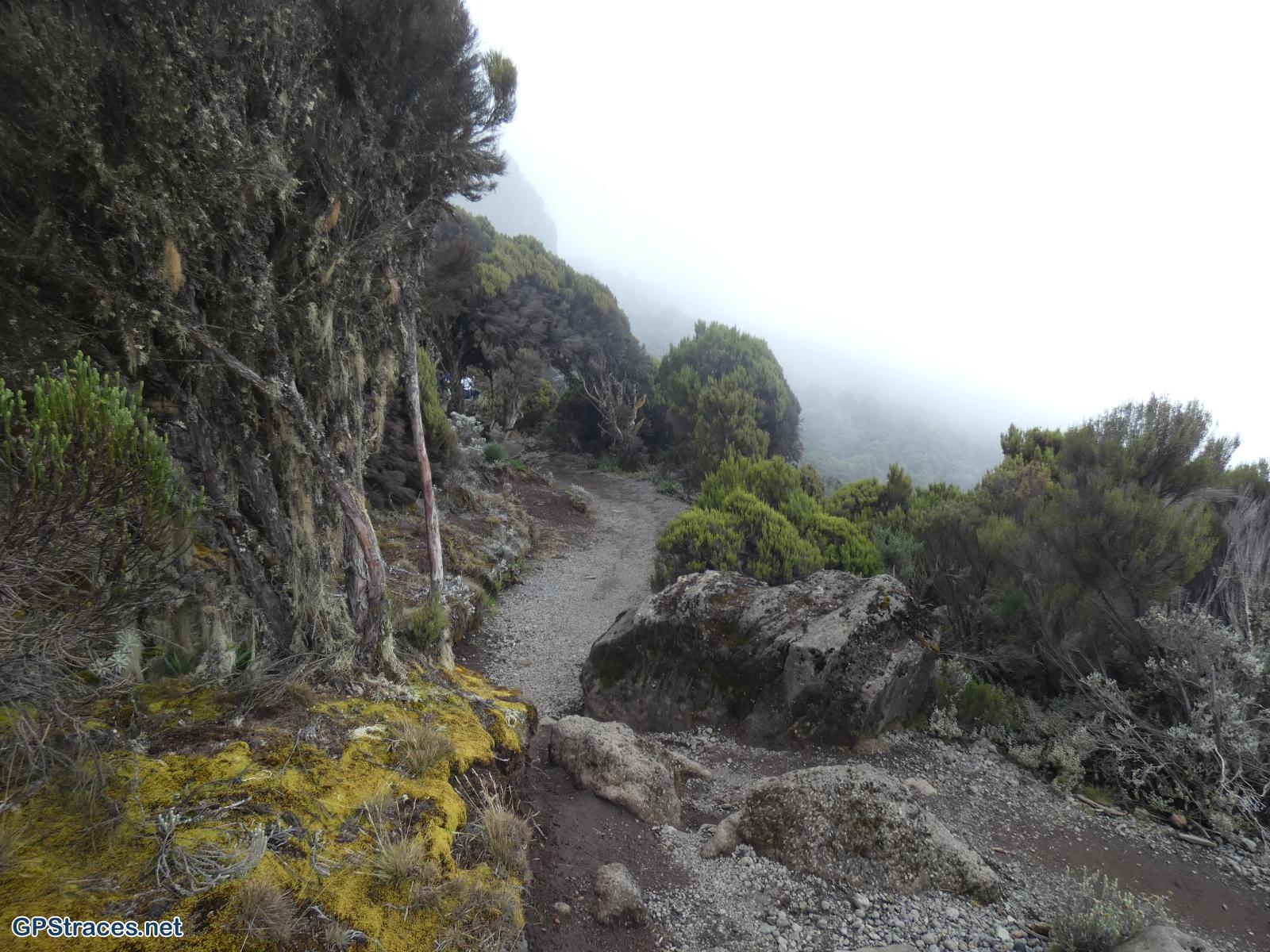 Dans la falaise embrumée