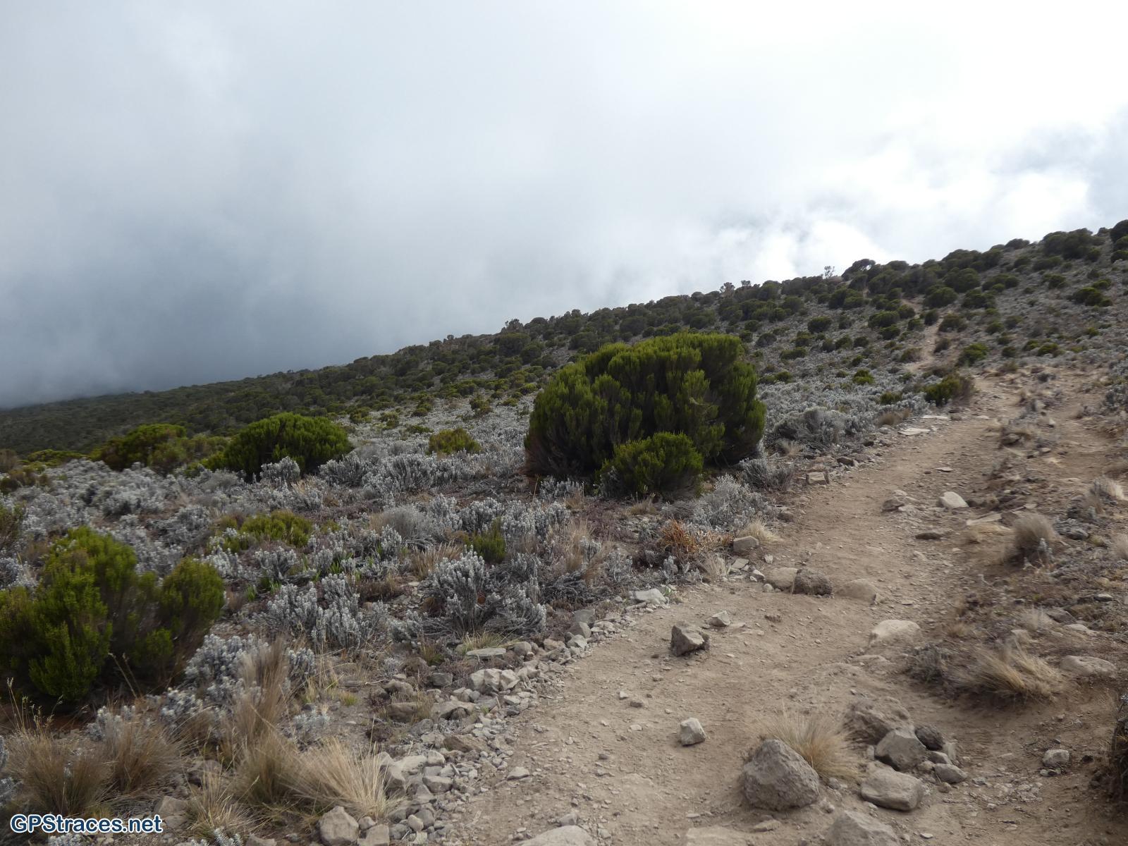 Descente vers High Camp.
